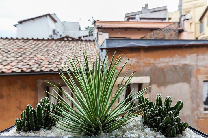 Navona Penthouse Apartment Rom